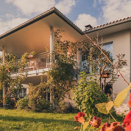 Coraline -Koblach, 6-10 P, 3 Schlafzimmer, Kueche, Riesige Terrasse, Parkplatz, Wifi, Stellplatz Ski Екстер'єр фото